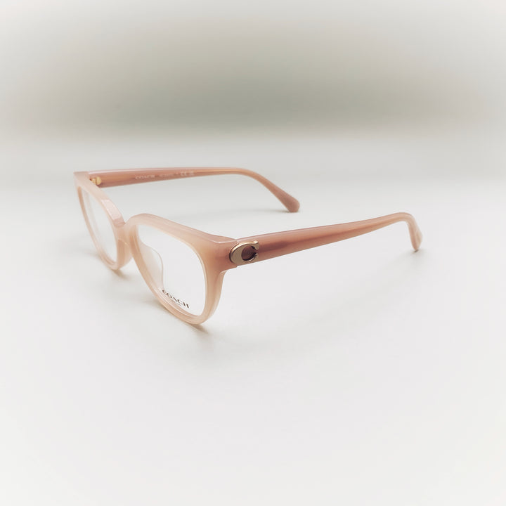 COACH  HC6247U 5839 51